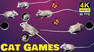 Cat Games - All Time Best Scenes From Palm Squirrels Studio - Cat TV mouse Compilation for Cats