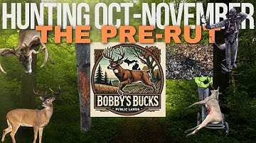 Tips to Help You Hunt The Pre-Rut