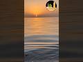 #يارب -صلي علي النبي #viralvideo #love #viralvideo #shortreels