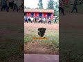 How the Kanisa ya msambwa do when going for a body in the morgue. #msambwa #church
