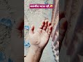 हमारे हाथ में तो प्यार की लकीरें नही बा #shortvideo #comedy #fany