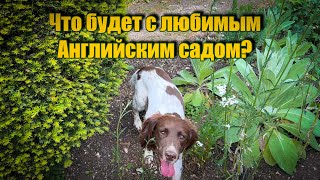 Vlog 563-Что теперь ждет Любимый английский сад…