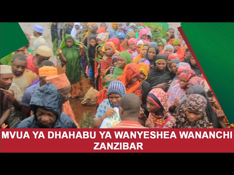 Video: Mvua Ya Dhahabu