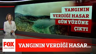 Yangının Verdiği Hasar 9 Ağustos 2021 Fox Ana Haber