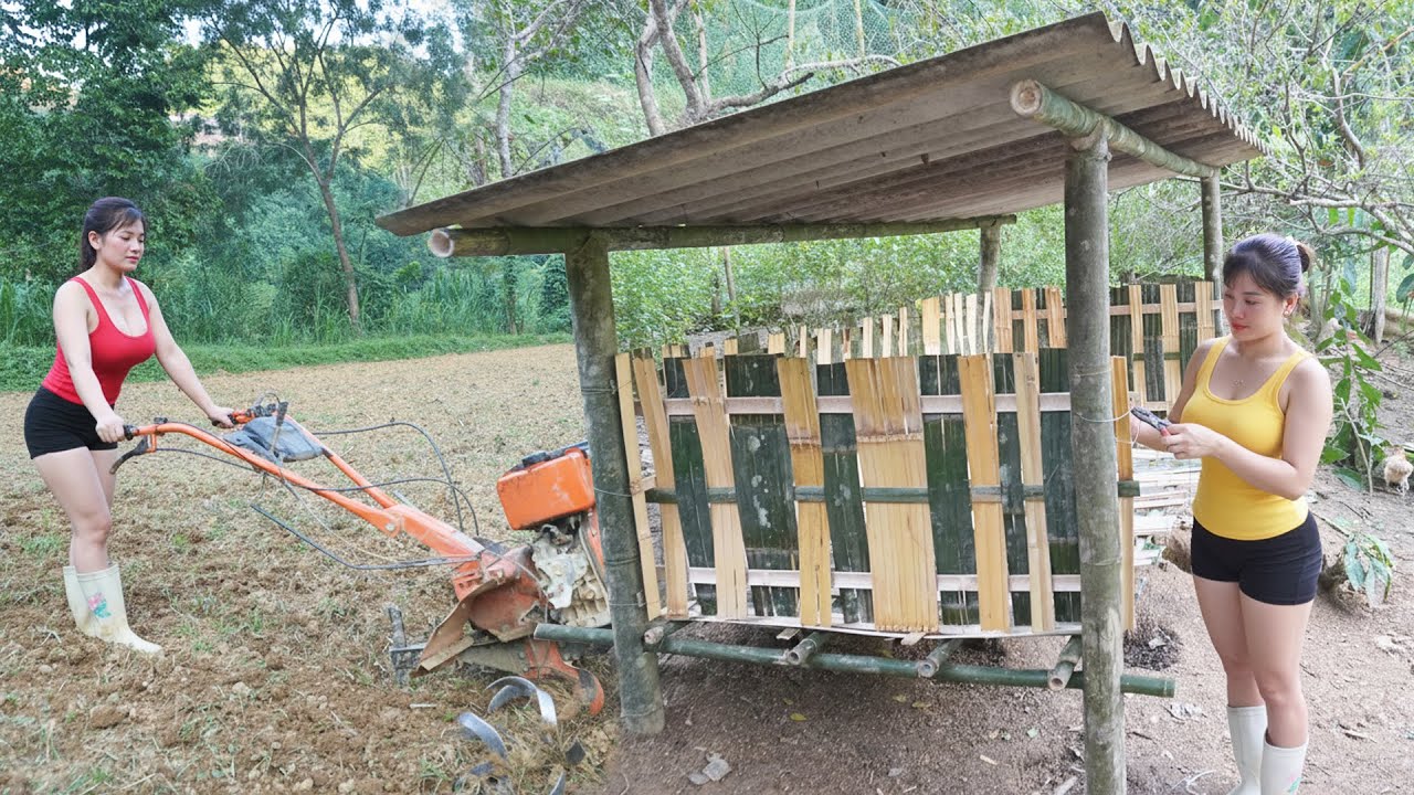 Build a New Chicken Coop To Raise Many Chickens - Use Mini Plow To Loosen Soil And Plant Corn