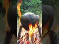 Amazing! Coconut with Squid🐙🐙 on the FIRE🔥 #survival #outdoors #useful