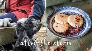 Making Vegan Shortbread | Storm Damage | Greenhouse Restoration by Eighteen and Cloudy 700 views 3 months ago 12 minutes, 8 seconds