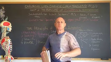 Exploring CHEK Exercise Coach Training Pt 2/3