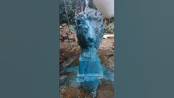 Bronze lion sculpture #bronzesculpture #sculpture #lionsculpture