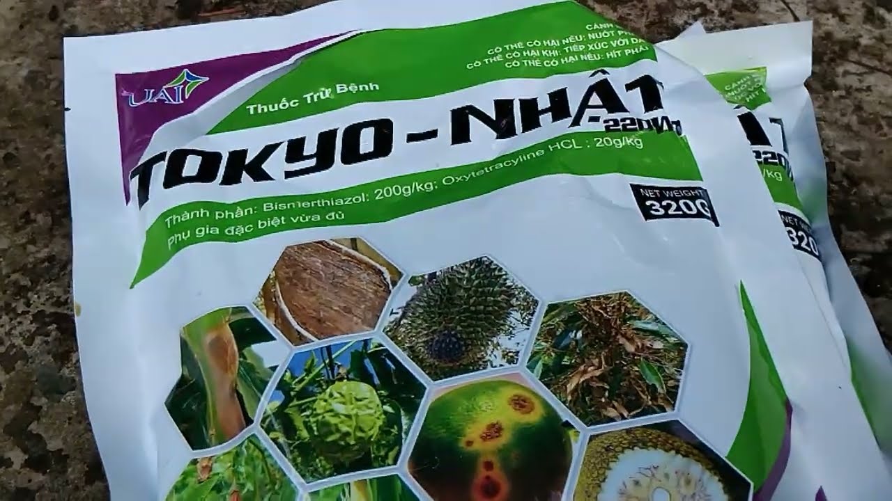 Nay Hùng chia sẽ cho các bạn xem, Hùng xịt thuốc ngừa cháy lá,cho Sầu riêng của Hùng!