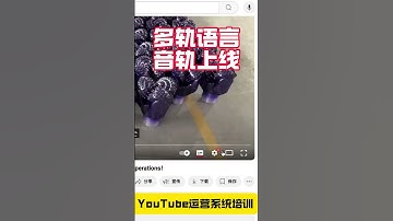 🎬YouTube新功能上线｜如何给你的视频添加多语言音轨（实操演示）