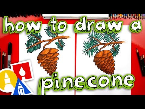 Video: How To Draw A Fir Cone