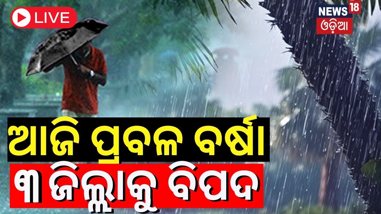 Odisha Rain LIVE | ଏହିସବୁ ଜିଲ୍ଲାରେ ଅତି ପ୍ରବଳ ବର୍ଷା |Heavy Rainfall In 3 District|Odisha Weather News