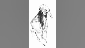 character design timelapse
