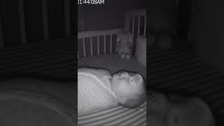 The Pacifier That Didnt Fall Alone