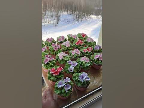 Зефир - YouTube