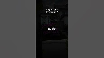 قال يا آدم انبئهم _ كروما قران شاشة سوداء _ القارئ علاء عقل _#قرآن