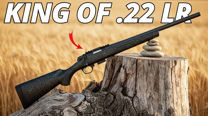The 10 BEST .22 LR Rifles For Hunting!
