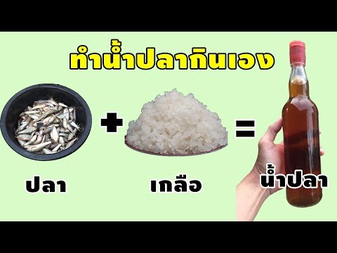 วีดีโอ: วิธีทำน้ำปลาให้อร่อย