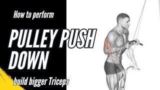 Research based way to perform Pulley Push Down - #triceps