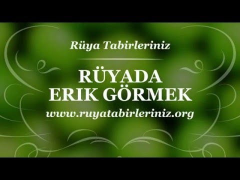 Rüyada Erik Görmek Tabiri Ve Yorumu