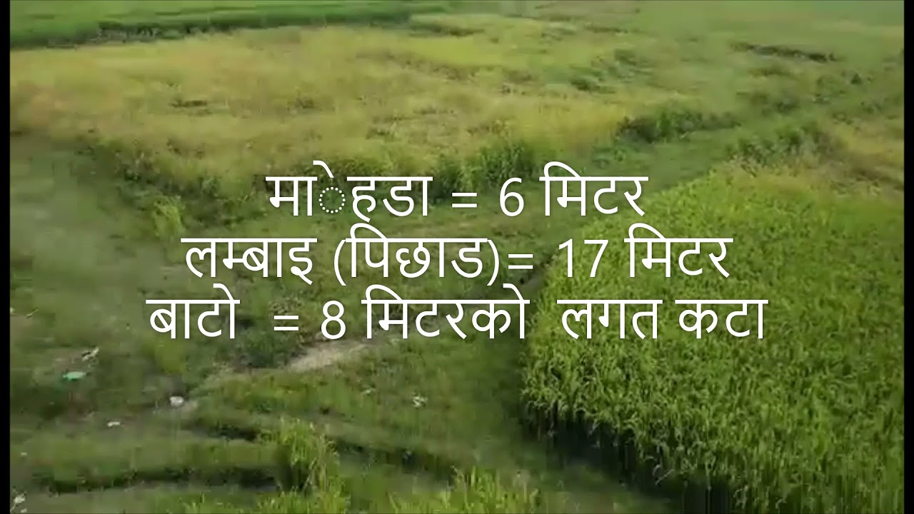 Surkhet Tatapani land Sell! Surkhet Property! घर जग्गा किनबेच बजार !Urgent Sell Property!Sell