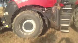 TRITURACION REFORESTACION ENCINA 1