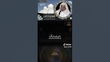 تلاوة من سورة الانفال بصوت القارئ وليد الفلوجي