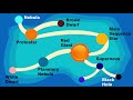 Life Cycle of a Star in Hindi || Info ReX