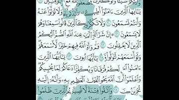 سورة الأنفال كاملة للشيخ صلاح الباجي #صلاح_الباجي