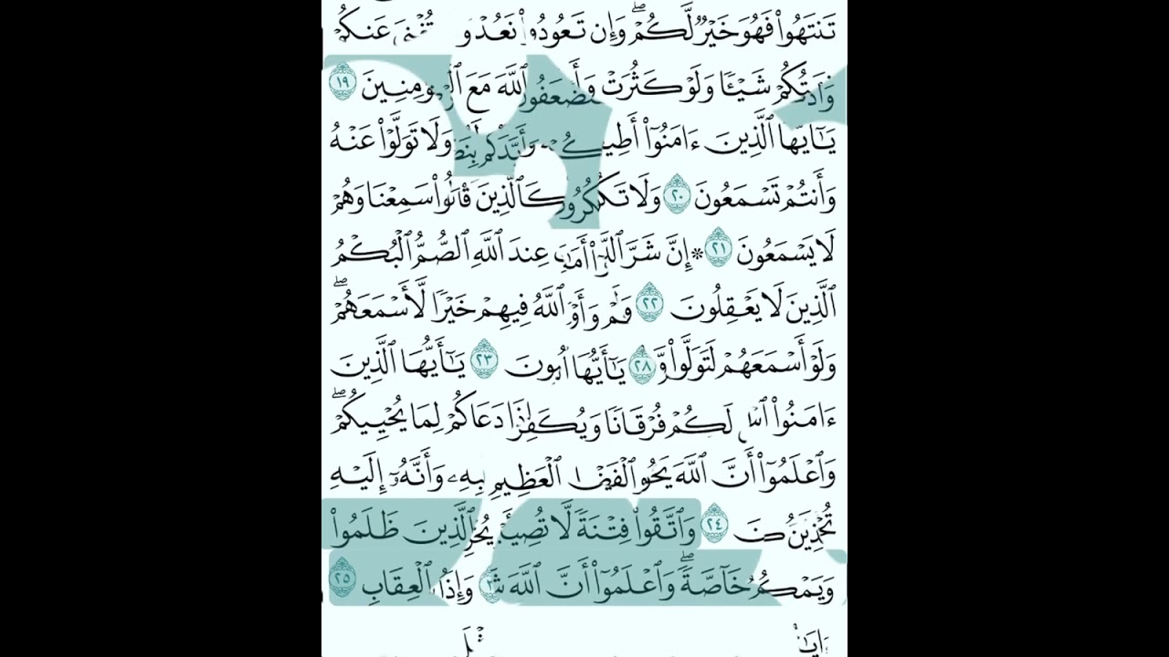 سورة الأنفال كاملة للشيخ صلاح الباجي #صلاح_الباجي