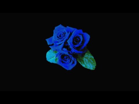 THE PRINCE, ALONE IN DEEPEST DARK