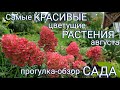 Самарская Лидия покорила ) ! Прогулка - обзор нашего САДА . Начало осени -  очень красивая пора ) !