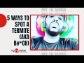 MY TU-SENSE: EPISODE 6. FIVE WAYS TO SPOT A TERMITE (AKA B#*CH)