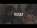 Shawn Mendes - Roses (Traducida al español)