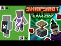 Minecraft 121  witch redstone drop  son des pistons  nouvelles capes  skins   snapshot 24w20a