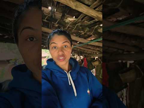 If Life Is Bad No One Will Care Jindagi Kharab 