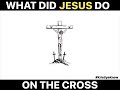 What did Jesus do on the Cross?