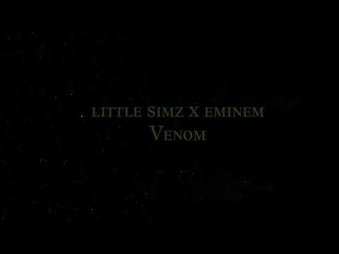 little simz x eminem - venom