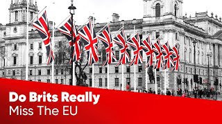 Do Brits Really Miss The EU?