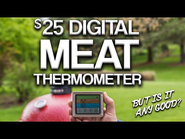 SMARTRO ST54 Dual Probe Digital Meat Thermometer for Food – Meat