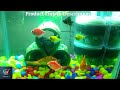 Corner Filter with Filter Media(Suitable Up to 3 Feet Tank) An Efficient Filter for Your Aquarium