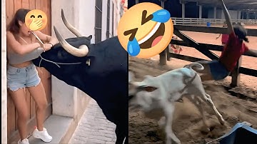 SI PALING RANDOM PART 40❗VIDEO LUCU BIKIN NGAKAK❗lucu-lucu bikin sakit perut❗komedi lucu❗#funny 