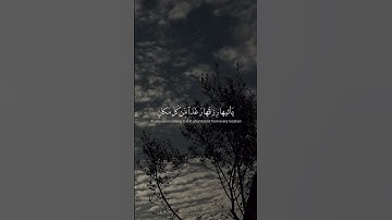 تلاوة | وضرب الله مثلا قريةً كانت آمنةً مطمئنةً | بصوت خاشع عبد الرحمن مسعد #قرآن