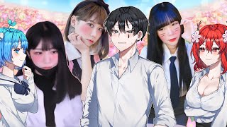 하렘 악어의 놀이터