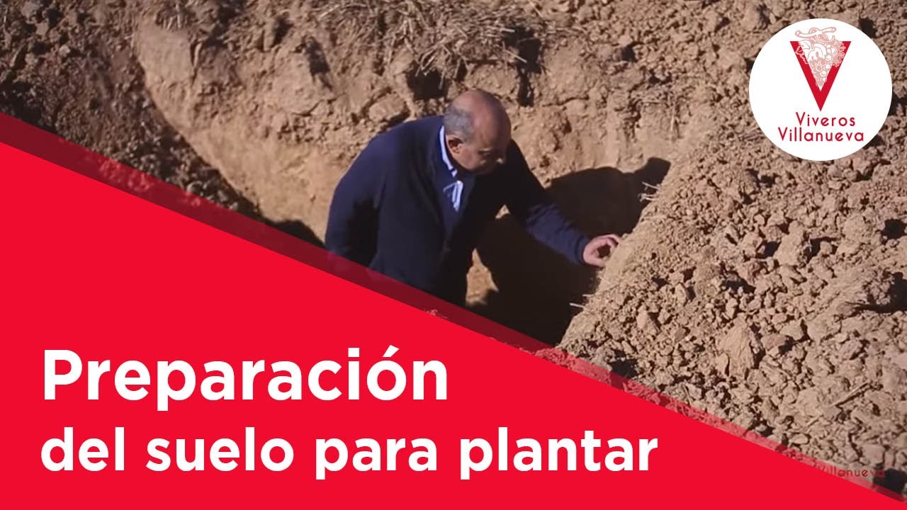 La preparación del suelo para plantar vid, Viveros Villanueva