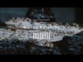 2nd Album "Biilion Balances" Crossfade Trailer - Hello1103