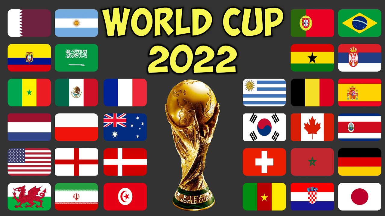 World Cup Qatar 2022 Re Predictions Beat the keeper in Algodoo Eliminations - Finals