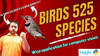 BIRDS 525 SPECIES- IMAGE CLASSIFICATION | Web app شرح عربي