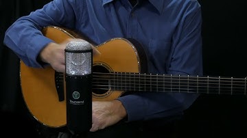 Townsend Labs Sphere L22 Mic Modeling System Demo